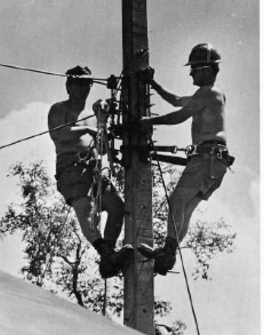 polecats.jpg