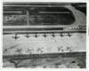 korat015_small.jpg