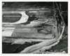 korat016_small.jpg