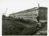 korat029_small.jpg