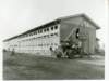 korat032_small.jpg