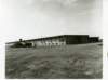 korat038_small.jpg